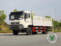 四轮驱动越野卡车底盘 Dongfeng 4*4 Special 整车形状卡车自卸卡车批发山区森林越野整车结构全轮驱动{[T15]