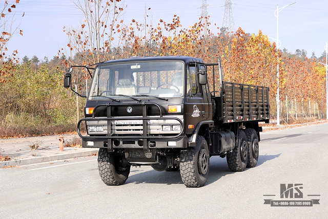 东风六轮驱动EQ2102卡车_190马力3.5吨三轴六轮驱动黑色越野货车_全轮驱动EQ2102G出口专用整车