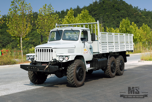 东风 3.5T 三轴 EQ2100 六轮驱动越野卡车_6*6 尖头单排货车运输卡车出售_出口特价 整车