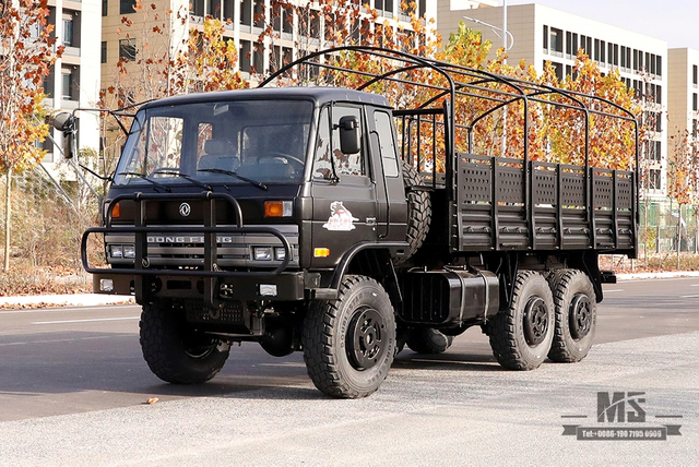 东风EQ2102越野三轴卡车_190马力六轮驱动黑色货物整车_全轮驱动EQ2102G出口专用整车