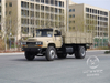 4x2越野小费卡车|康明斯B190 33（140kW）| 10T后轴| 300L燃油箱