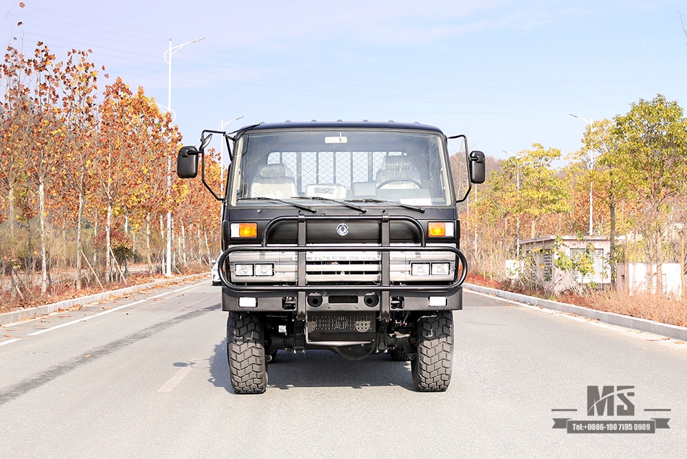 东风六轮驱动EQ2102卡车_190马力3.5吨三轴六轮驱动黑色越野货车_全轮驱动EQ2102G出口专用整车