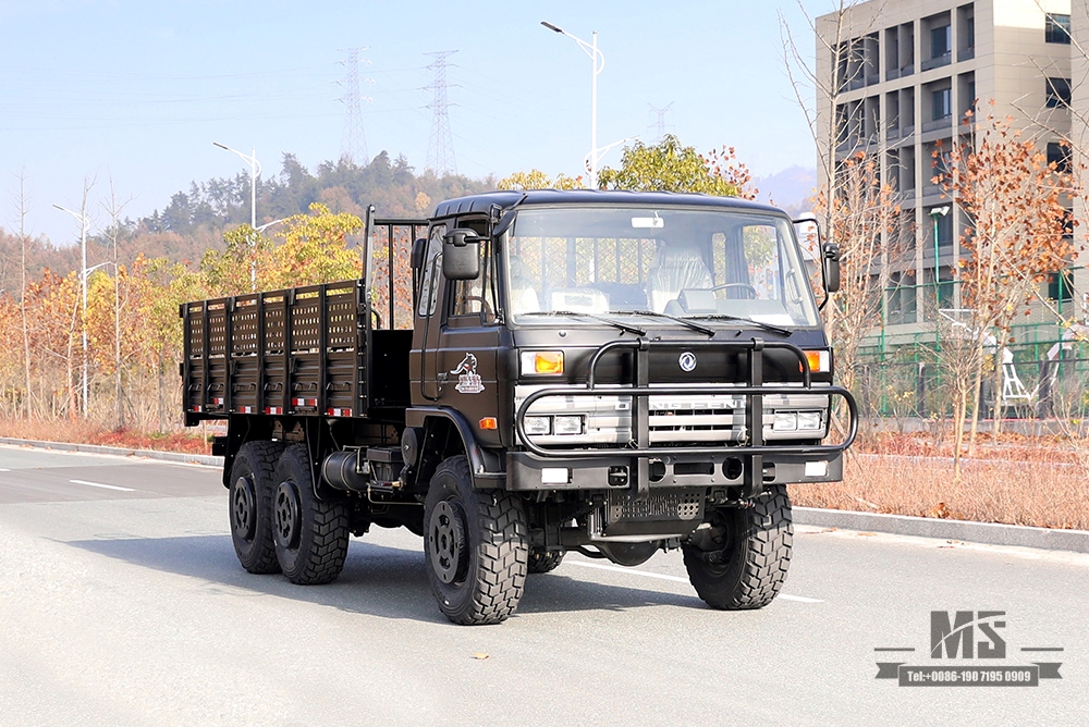 东风六轮驱动EQ2102卡车_190马力3.5吨三轴六轮驱动黑色越野货车_全轮驱动EQ2102G出口专用整车