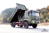东风4*4越野自卸卡车_东风210hp 4×4越野平头排半卡车_出口特价整车
