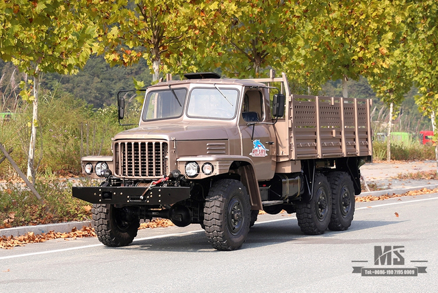 170马力东风香槟金EQ2082_六驱越野专用车_双玻尖240运输车_6×6 25Y卡车出口专用车