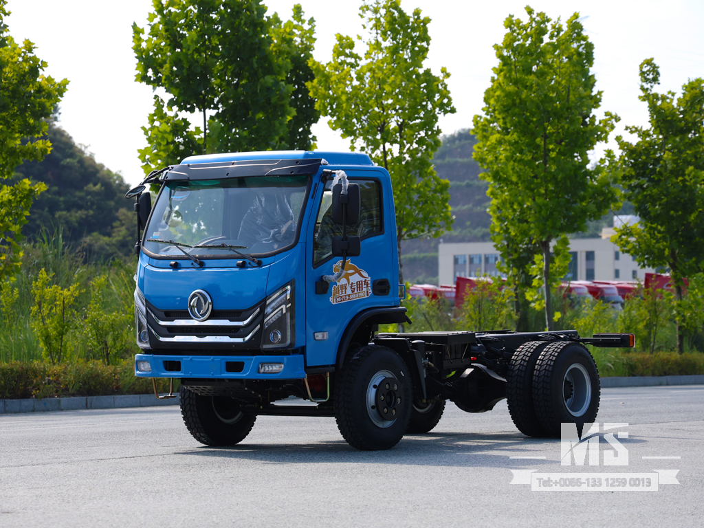 4&times;2 平头特殊 底盘，仅出口用于特殊 整车 改装