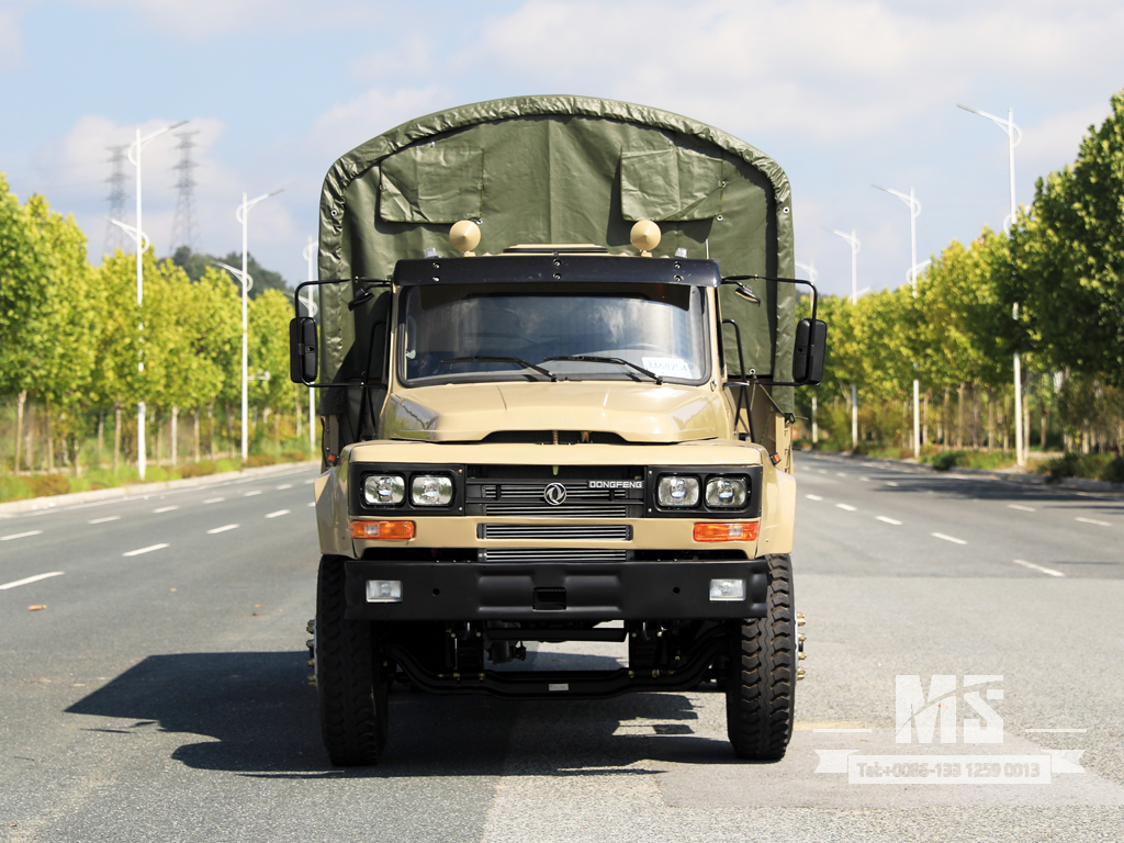 10 吨 4X2 尖头驾驶室越野卡车（190 马力）|东风整车